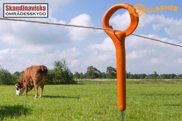 Stängselpaket ko - rep 100m