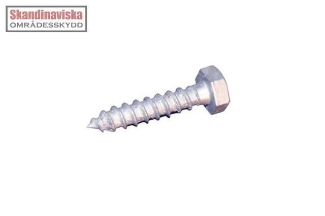 Fransk träskruv 10x50mm -1st